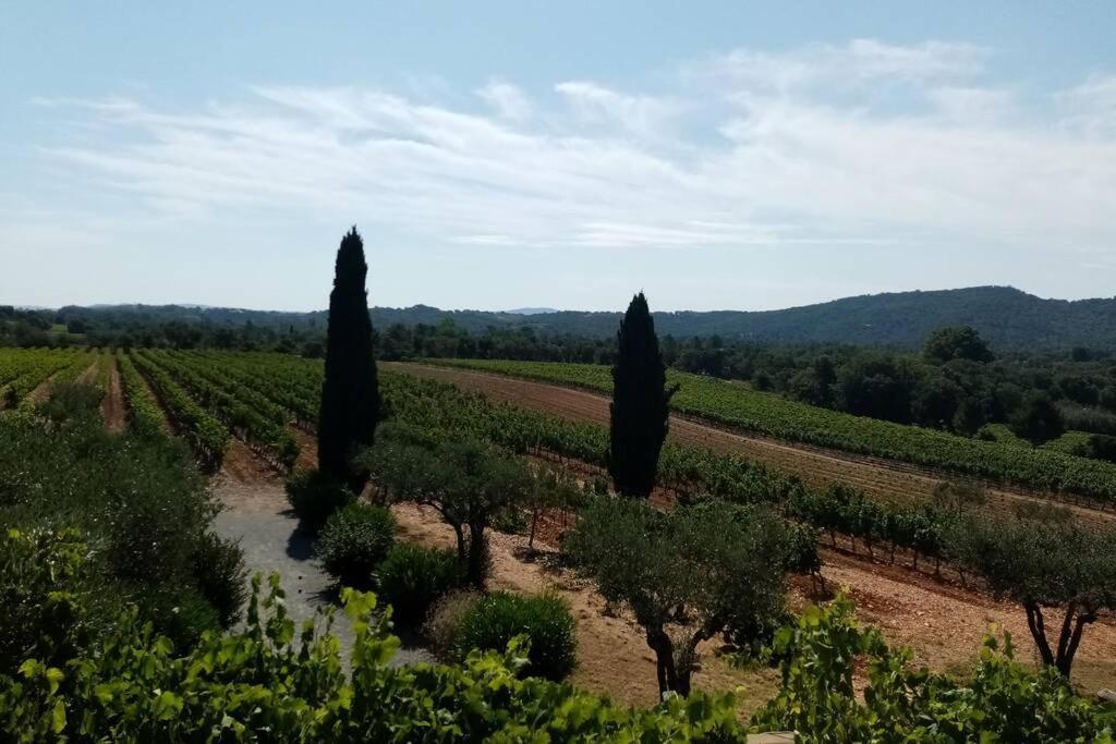 Charmant Appartement T2 Au Coeur Des Vignes Cogolin Bagian luar foto